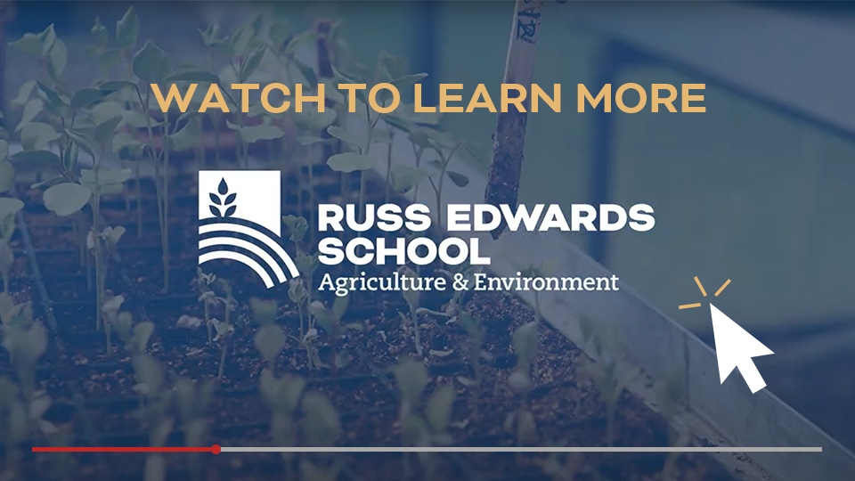 Watch to learn more about Russ Edwards School - video thumbnail with blue tint over a photo of plants.